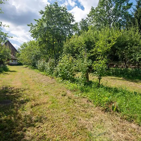 Holiday Home Perla By Interhome Holiday home *